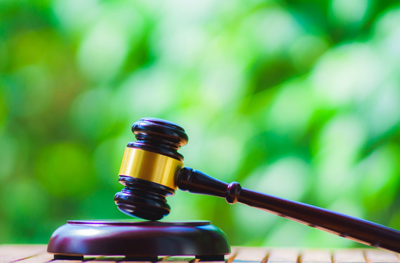 競売・任意売却